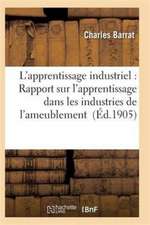 L'Apprentissage Industriel: Rapport Sur l'Apprentissage Dans Les Industries de l'Ameublement