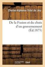 de La Fusion Et Du Choix D'Un Gouvernement