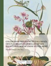 Collection Précieuse Et Enluminée Des Fleurs Les Plus Belles Et Plus Curieuses de Chine Et Europe