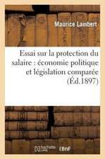 Essai Sur La Protection Du Salaire