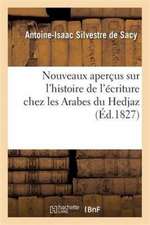 Nouveaux Aperçus Sur l'Histoire de l'Écriture Chez Les Arabes Du Hedjaz