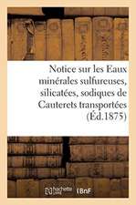 Notice Sur Les Eaux Minérales Sulfureuses, Silicatées, Sodiques de Cauterets Transportées