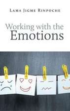 Working with Emotions