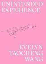 Evelyn Taocheng Wang: Unintended Experience