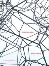 Antony Gormley: For the Time Being