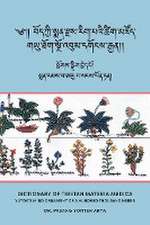 Dictionary of Tibetan Materia Medica (Bod kyi sman rdzas rig pa'i tshig mdzod)