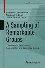 A Sampling of Remarkable Groups