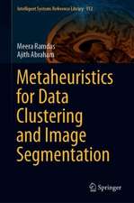 Metaheuristics for Data Clustering and Image Segmentation