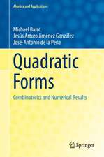 Quadratic Forms: Combinatorics and Numerical Results