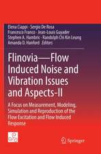 Flinovia—Flow Induced Noise and Vibration Issues and Aspects-II: A Focus on Measurement, Modeling, Simulation and Reproduction of the Flow Excitation and Flow Induced Response