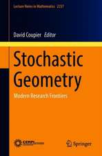 Stochastic Geometry: Modern Research Frontiers