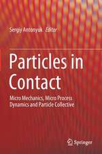 Particles in Contact: Micro Mechanics, Micro Process Dynamics and Particle Collective