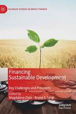 Financing Sustainable Development: Key Challenges and Prospects