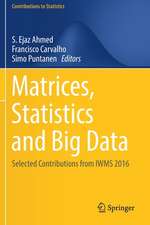 Matrices, Statistics and Big Data: Selected Contributions from IWMS 2016