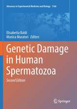 Genetic Damage in Human Spermatozoa