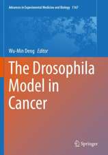 The Drosophila Model in Cancer