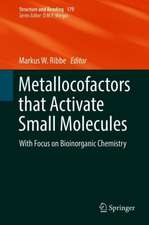 Metallocofactors that Activate Small Molecules: With Focus on Bioinorganic Chemistry