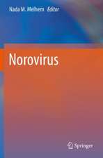 Norovirus