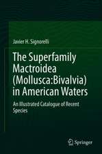 The Superfamily Mactroidea (Mollusca:Bivalvia) in American Waters