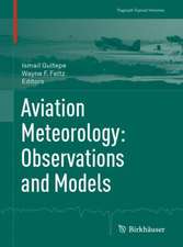 Aviation Meteorology: Observations and Models