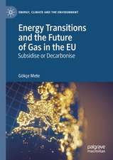 Energy Transitions and the Future of Gas in the EU: Subsidise or Decarbonise