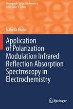 Application of Polarization Modulation Infrared Reflection Absorption Spectroscopy in Electrochemistry