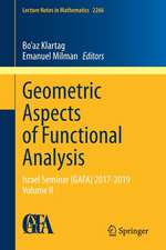 Geometric Aspects of Functional Analysis: Israel Seminar (GAFA) 2017-2019 Volume II