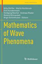 Mathematics of Wave Phenomena