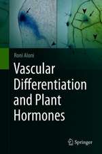 Vascular Differentiation and Plant Hormones