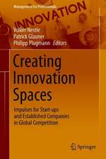 Creating Innovation Spaces: Impulses for Start-ups and Established Companies in Global Competition