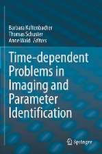 Time-dependent Problems in Imaging and Parameter Identification