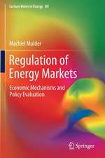 Regulation of Energy Markets: Economic Mechanisms and Policy Evaluation