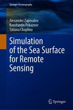 Simulation of the Sea Surface for Remote Sensing