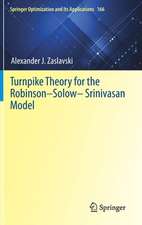 Turnpike Theory for the Robinson–Solow–Srinivasan Model