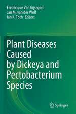 Plant Diseases Caused by Dickeya and Pectobacterium Species