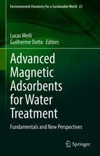 Advanced Magnetic Adsorbents for Water Treatment: Fundamentals and New Perspectives