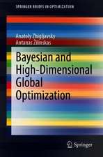 Bayesian and High-Dimensional Global Optimization