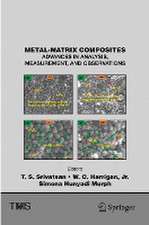 Metal-Matrix Composites: Advances in Analysis, Measurement, and Observations