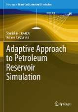 Adaptive Approach to Petroleum Reservoir Simulation