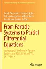 From Particle Systems to Partial Differential Equations: International Conference, Particle Systems and PDEs VI, VII and VIII, 2017-2019