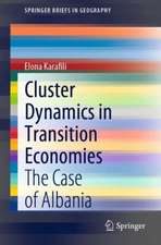 Cluster Dynamics in Transition Economies