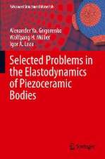 Selected Problems in the Elastodynamics of Piezoceramic Bodies