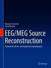 EEG/MEG Source Reconstruction