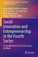 Social Innovation and Entrepreneurship in the Fourth Sector: Sustainable Best-Practices from Across the World