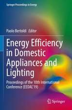 Energy Efficiency in Domestic Appliances and Lighting: Proceedings of the 10th International Conference (EEDAL'19)