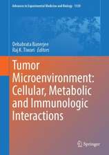 Tumor Microenvironment: Cellular, Metabolic and Immunologic Interactions