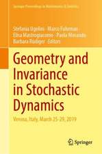 Geometry and Invariance in Stochastic Dynamics: Verona, Italy, March 25-29, 2019