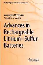 Advances in Rechargeable Lithium–Sulfur Batteries