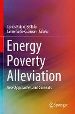 Energy Poverty Alleviation: New Approaches and Contexts