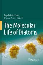 The Molecular Life of Diatoms